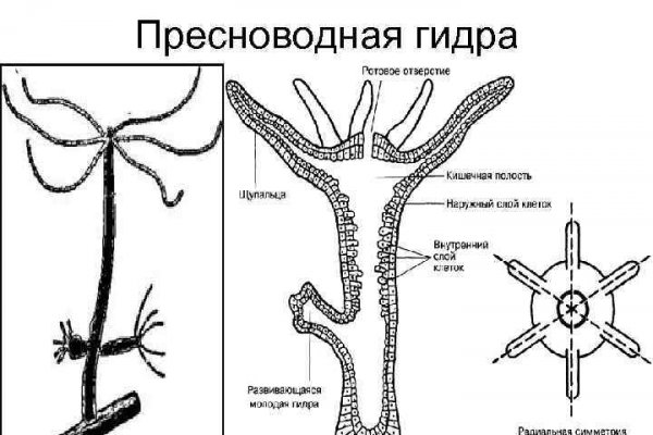 Блэк спрут сайт скачать