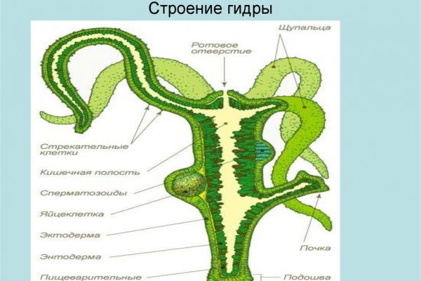 Мега кракен блэк спрут